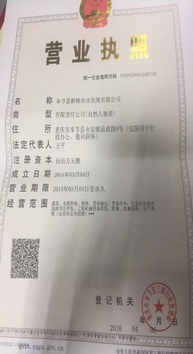 2017蔬菜批发商 重庆奉节天坑地缝门票价格 奉节县耕植
