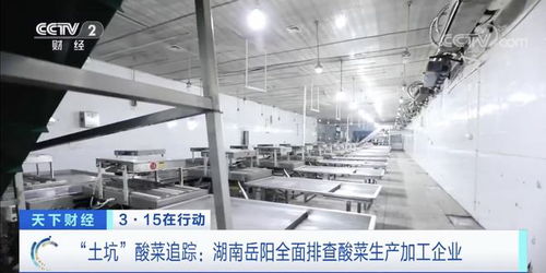 酸菜生产车间下班整理是常态 存放环境恶劣,酸菜叶子已发烂发臭