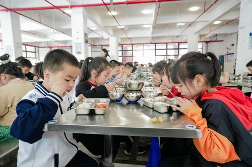 湖南 多部门多举措落实主体责任校园食品安全见成效