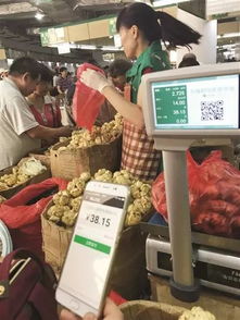 楼市正在变天 监管层放大招 又一炒房之路被堵死