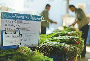 害怕农户种植的韭菜会农残超标 记住这几个诀窍就可放心食用