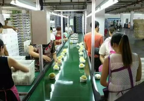 9元抢10个 国宴 黄桃 德安这家水果店的老板表示,干完这一票可能要吃咸菜了