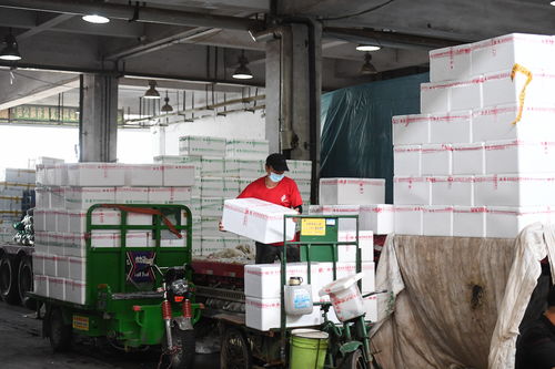 南京江宁重点民生保供企业有序运转 全力保障菜票印刷供应